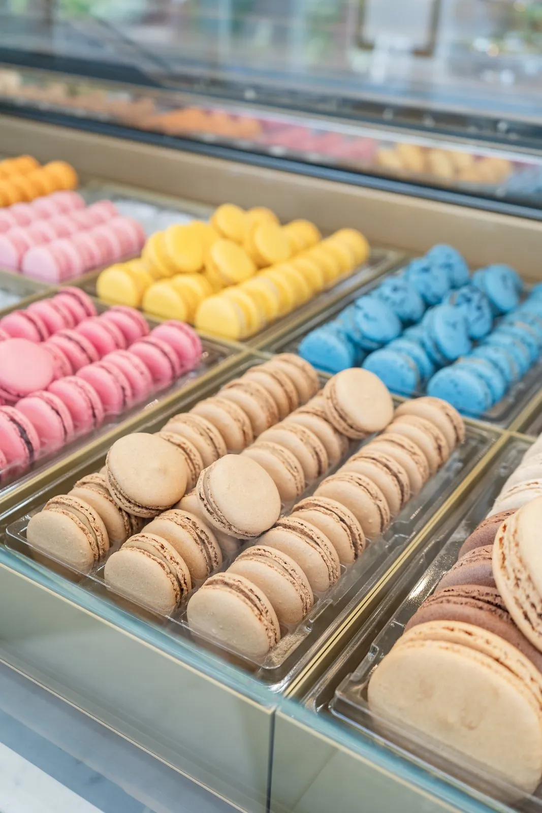 Vitrine de macarons pistache, framboise, citron et vanille